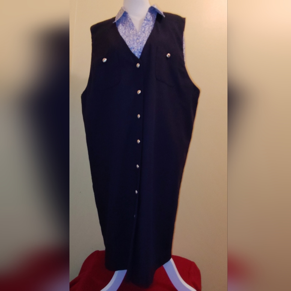 Leslie Fay Jumper
